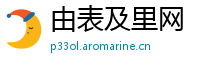 由表及里网